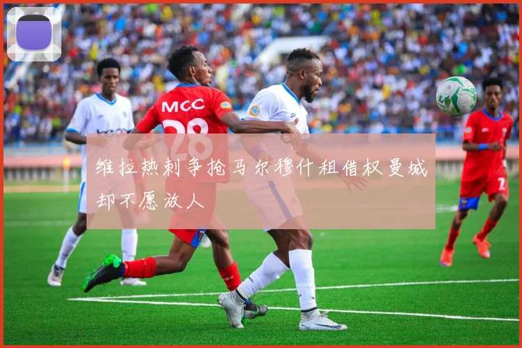 维拉热刺争抢马尔穆什租借权曼城却不愿放人